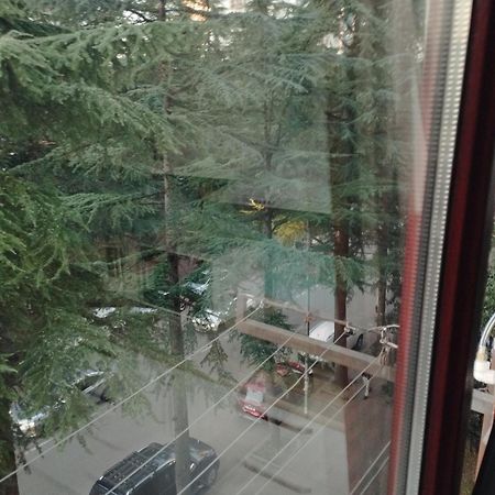 Apartment Ge Zvezda 바투미 외부 사진